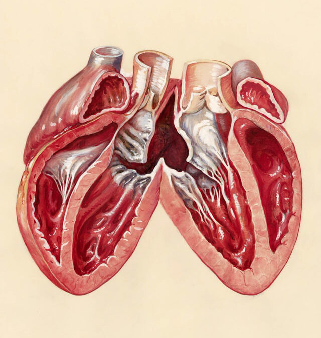 TAVI/TAVR in Chennai